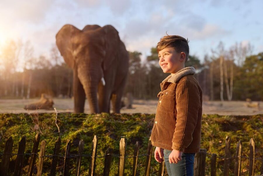 Hilvarenbeek: Safaripark Beekse Bergen Entry Ticket - Boat safari on the Livingstone or Stanley