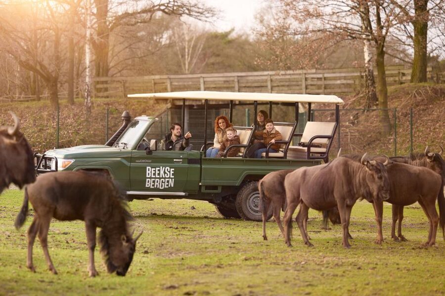 Hilvarenbeek: Safaripark Beekse Bergen Entry Ticket - Is the $35 ticket good value?