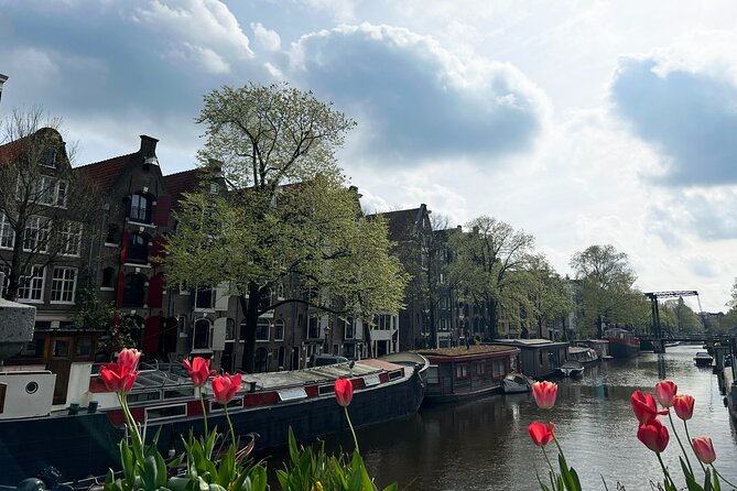 Historical Walking Tour, private with local Dutch guide - Dam Square, the city’s historic center