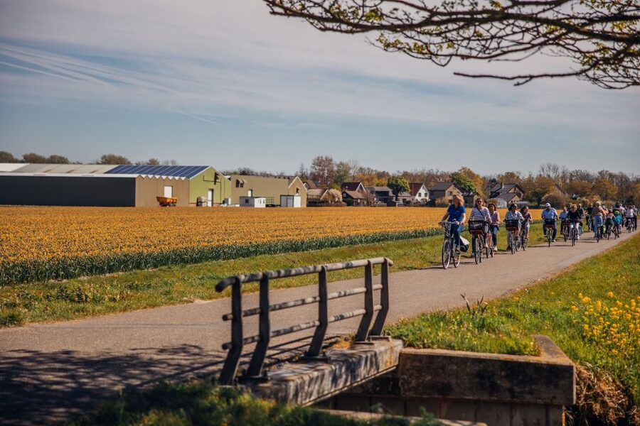 Keukenhof: Flower Fields Small-Group Cultural Bike Tour - Riding beyond Keukenhof’s gates