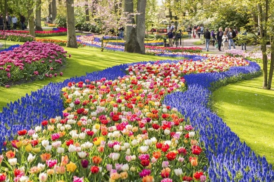Keukenhof: Flower Fields Small-Group Cultural Bike Tour - Should you book the Keukenhof flower-field ride?