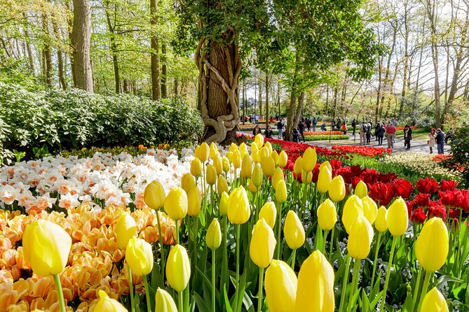 Keukenhof, Flower Fields, Volendam and Zaanse Schans Small-Group Tour - What this 9-hour Dutch day trip is really like