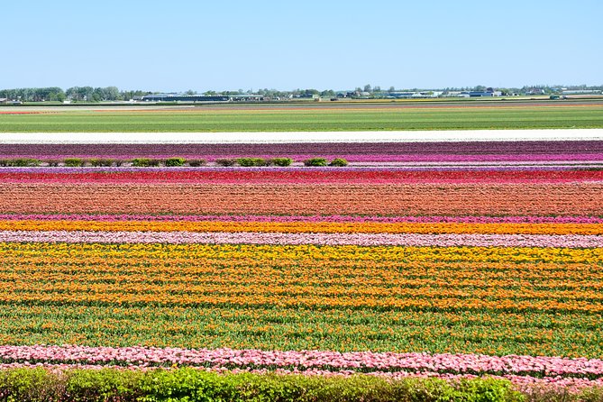 Keukenhof, Flower Fields, Volendam and Zaanse Schans Small-Group Tour - The clog workshop and cheese stop