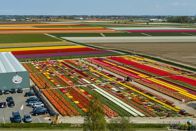 Keukenhof Gardens and Tulips Private Tour from Amsterdam - Key Points at a Glance