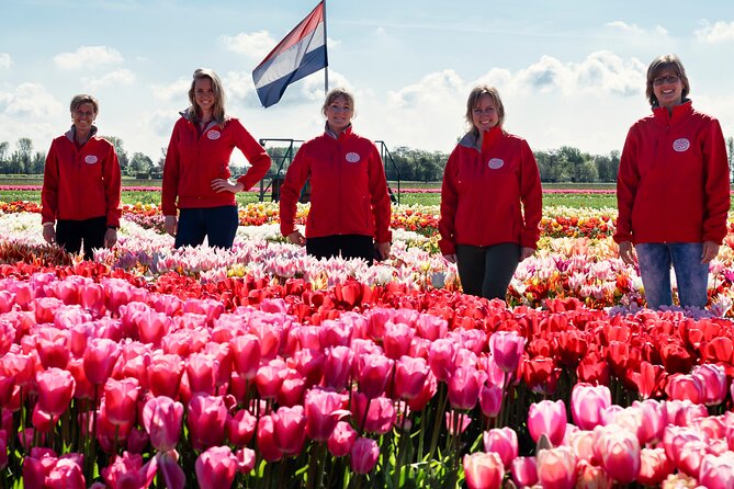 Keukenhof Gardens and Tulips Private Tour from Amsterdam - How Much Value Do You Get for $383.44?