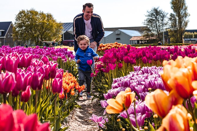 Keukenhof Gardens & Tulip Experience Tour from Amsterdam - The coach ride from Amsterdam