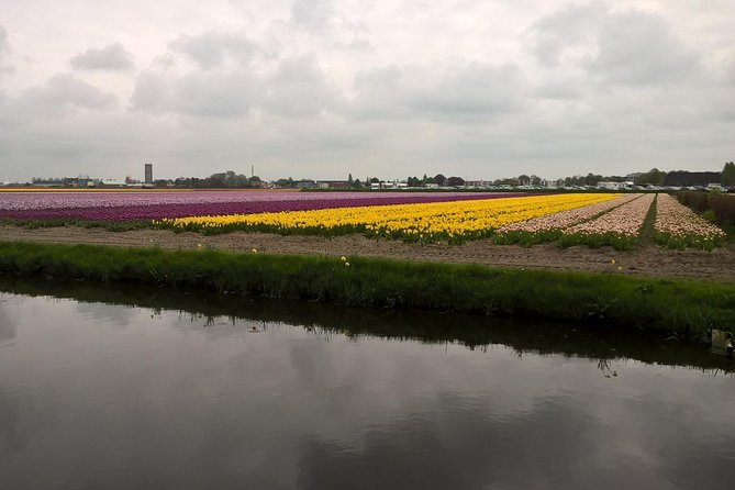 Keukenhof's Tulips and Windmills Small-Group Tour from Amsterdam - Keukenhof: Three Hours Among Spring Flowers