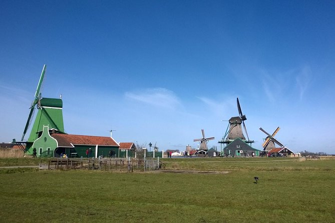 Keukenhof's Tulips and Windmills Small-Group Tour from Amsterdam - Timing Your Visit for the Best Bloom