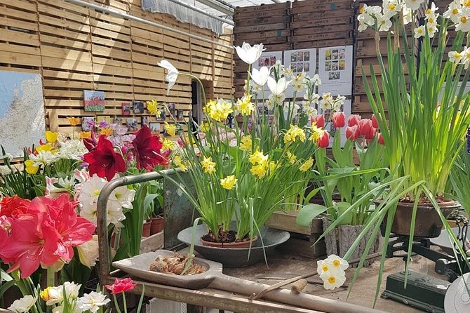 Keukenhof Skip-the-line Tickets: Countryside & Farm Private Tour - Keukenhof: two hours among millions of flowers