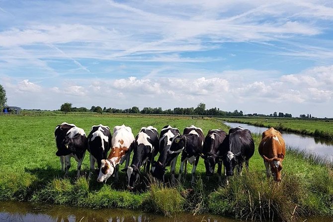 Keukenhof Skip-the-line Tickets: Countryside & Farm Private Tour - Zaanse Schans: windmills and a compact history stop