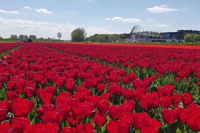 Keukenhof Skip-the-line Tickets: Countryside & Farm Private Tour - Jacobs Hoeve cheese farm: a taste of Dutch gold