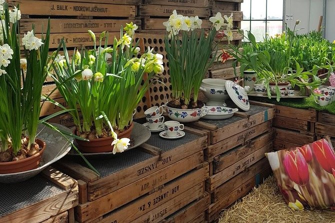 Keukenhof Skip-the-line Tickets: Countryside & Farm Private Tour - Lisse flower fields: the view that depends on timing