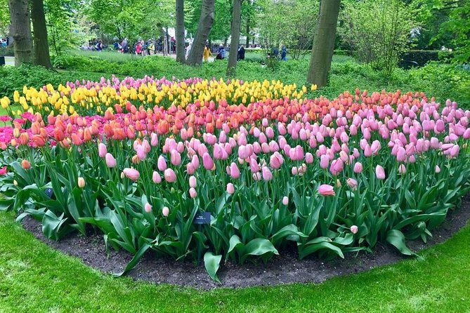 Keukenhof, Zaanse Schans Windmills Private Tour with Lunch - Clogs and cheese in 40 minutes