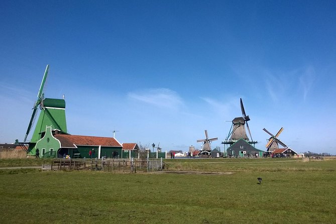 Keukenhof, Zaanse Schans Windmills Private Tour with Lunch - Lunch with a local Dutch flavor