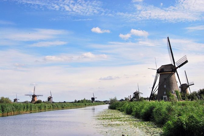 Kinderdijk, The Hague, Mauritshuis Private Tour from Amsterdam - Choosing between Mauritshuis, Escher, and Madurodam