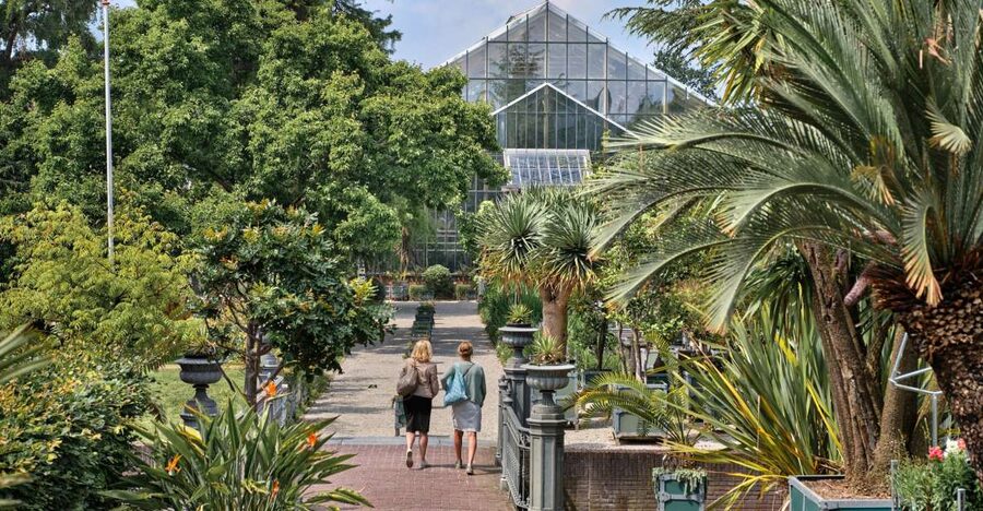 Leiden: Hortus Botanicus Entry Ticket - Starting at the Front Garden and Clusius Garden