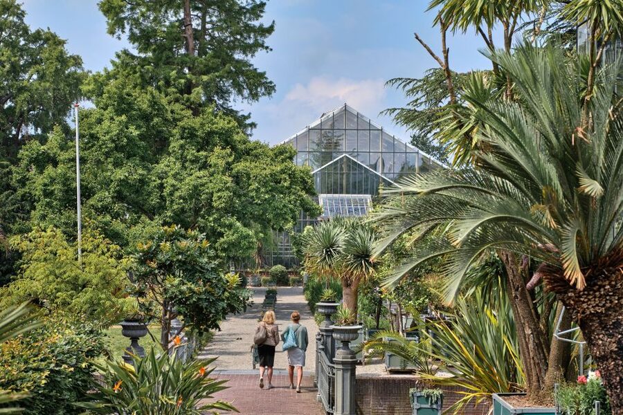 Leiden: Hortus Botanicus Entry Ticket - Carnivorous plants and plants under threat