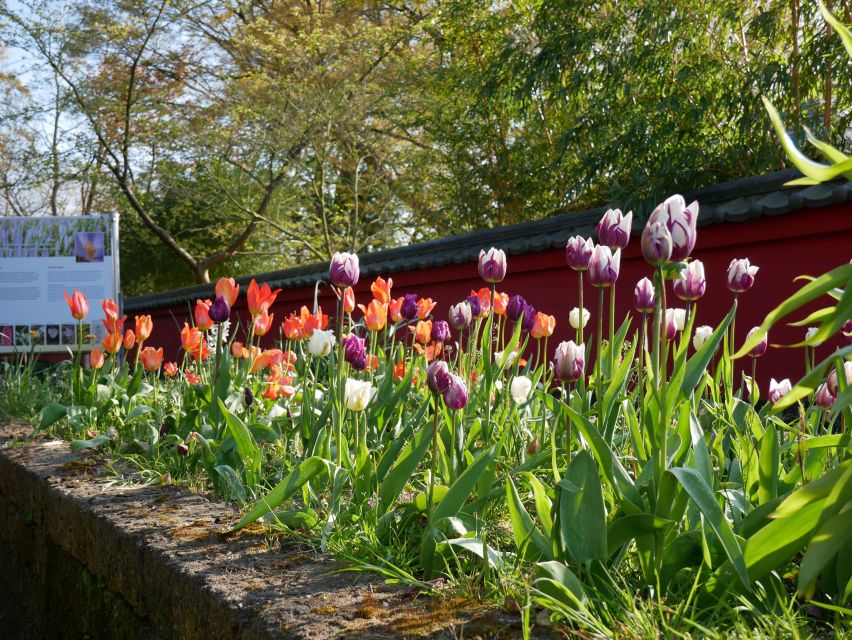 Leiden: Hortus Botanicus Entry Ticket - Timing your visit around three seasonal stars