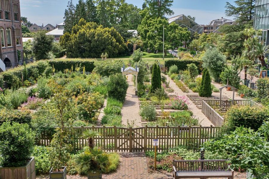 Leiden: Hortus Botanicus Entry Ticket - The nearly 30 old trees give the garden its calm