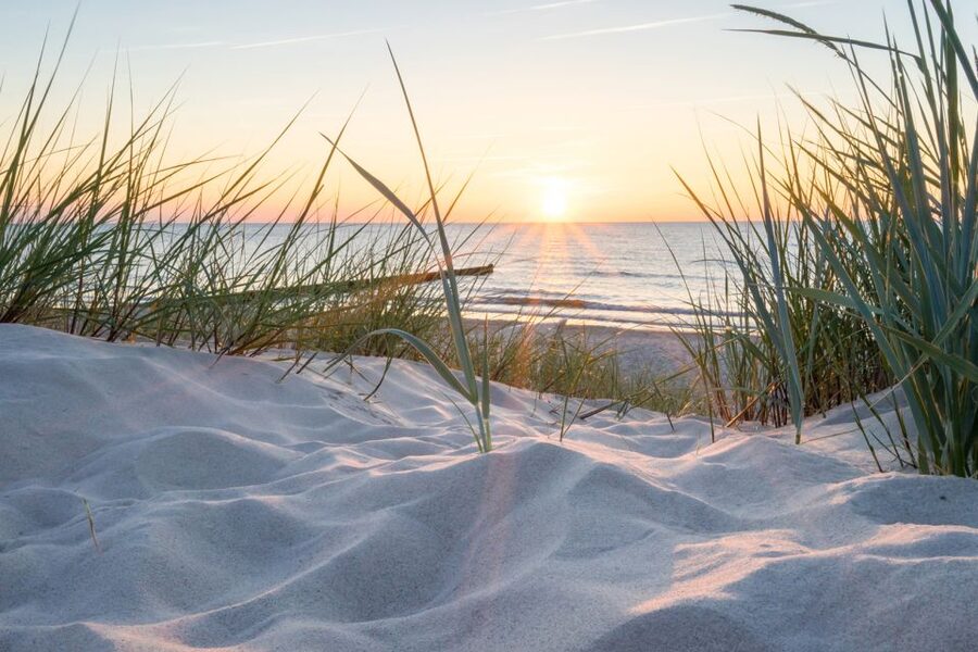 Lisse: Drive-it-Yourself Electric Dune & Beach Audio Tour - Following the 39-kilometer route through the dunes