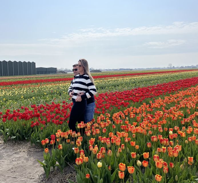Lisse: Enjoy the Tulip Fields by Bike with a Local Guide! - How hard is the 15-kilometer ride?
