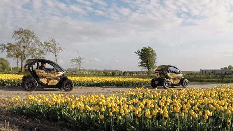 Lisse: Self-Guided Tulip Fields GPS Audio Tour - Starting near Keukenhof, not inside it