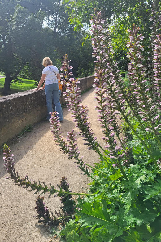Maastricht Hidden Gems Tour Uncover the Unexpected - Vrijthof and the city’s public life
