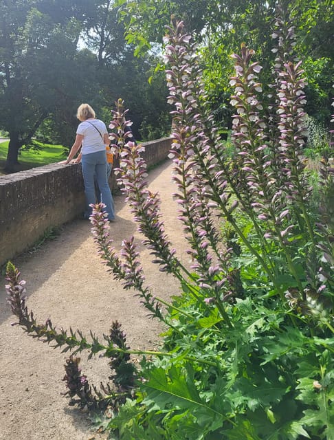 Maastricht Hidden Gems Tour Uncover the Unexpected - Why Maastricht makes a good two-hour history walk