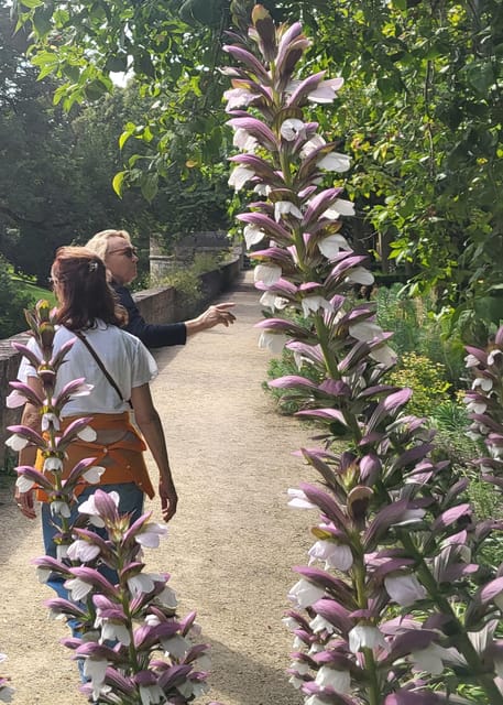 Maastricht Hidden Gems Tour Uncover the Unexpected - The Jeker wall and Het Vagevuur
