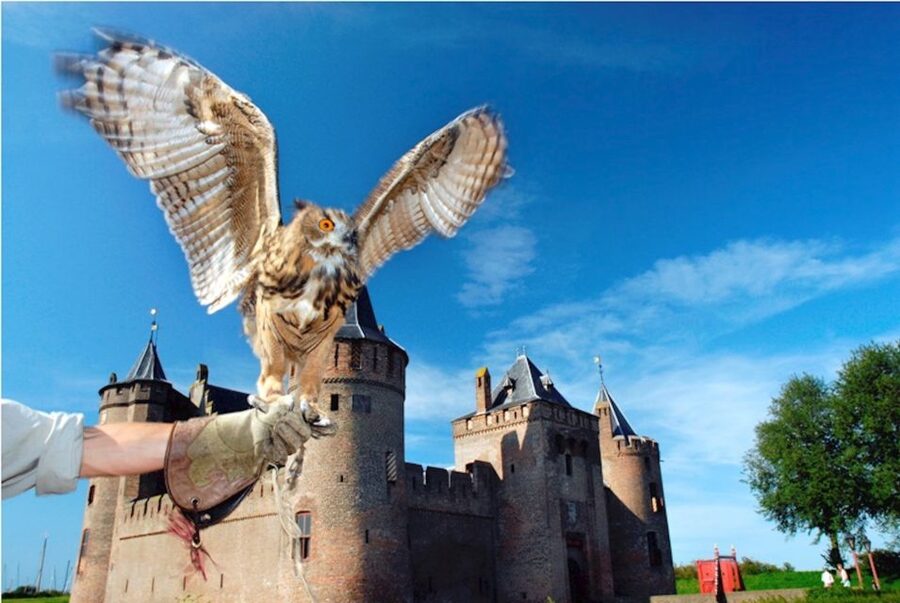 Muiden: Entry Ticket to Muiderslot Castle - What your two-hour visit includes