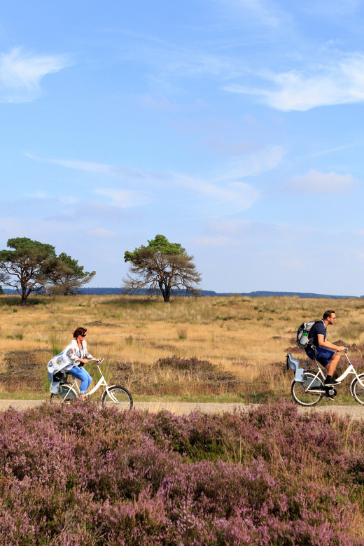 Otterlo: De Hoge Veluwe National Park Entry Ticket - Forest, heath, and open sand