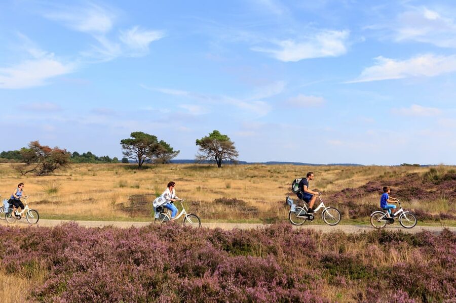 Otterlo: De Hoge Veluwe National Park Entry Ticket - Visiting Jachthuis Sint Hubertus