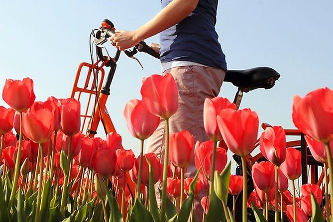 Private Guided Full-Day Customizable Tour of Holland from Amsterdam - Tulips, Keukenhof, and seasonal planning