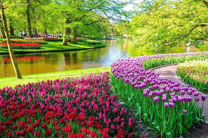 Private Keukenhof Park and Tulip Fields Tour (Skip-The-Line) - Why Keukenhof is worth the trip from Amsterdam