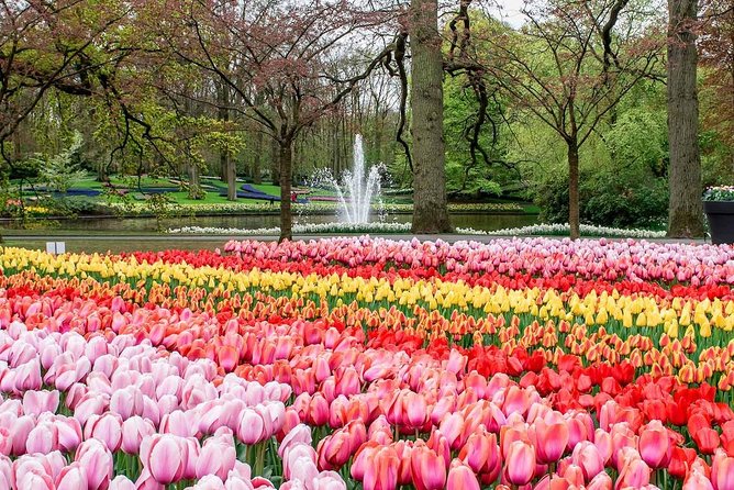Private Keukenhof Park and Tulip Fields Tour (Skip-The-Line) - Entering Keukenhof with a private driver