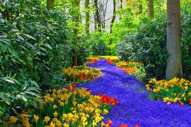 Private Keukenhof Park and Tulip Fields Tour (Skip-The-Line) - Comfort, communication, and group size