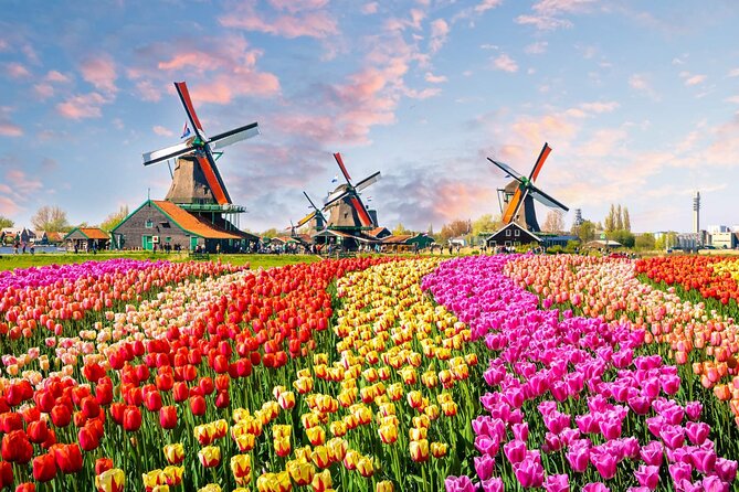 Private Keukenhof Park and Tulip Fields Tour (Skip-The-Line) - From Amsterdam to the Bollenstreek fields