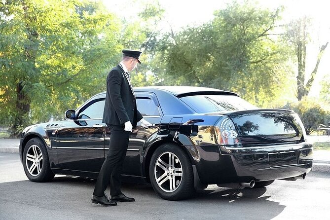 Private One way Transfer Amsterdam Airport to Amsterdam - Choosing the right vehicle for your luggage