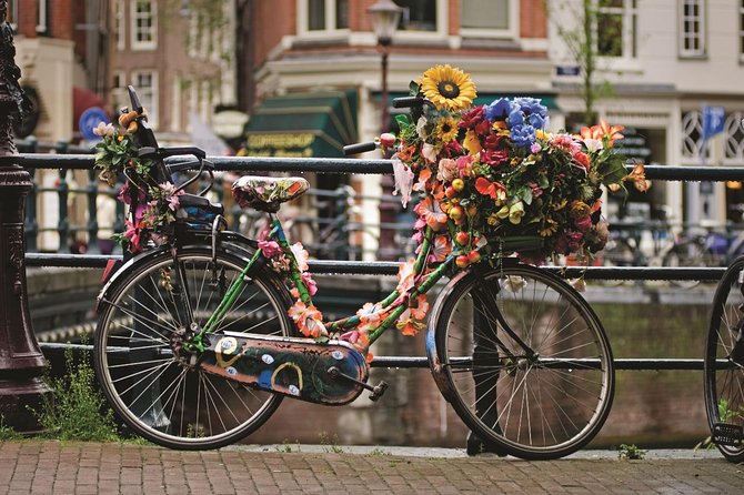 Private Tour: Amsterdam City Walking Tour and Canal Cruise - What the private format is really worth