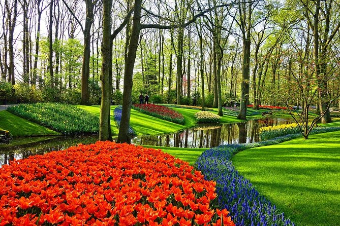 Private Tulip Fields, Windmills and Cheese Tour from Amsterdam - Why this private day trip works