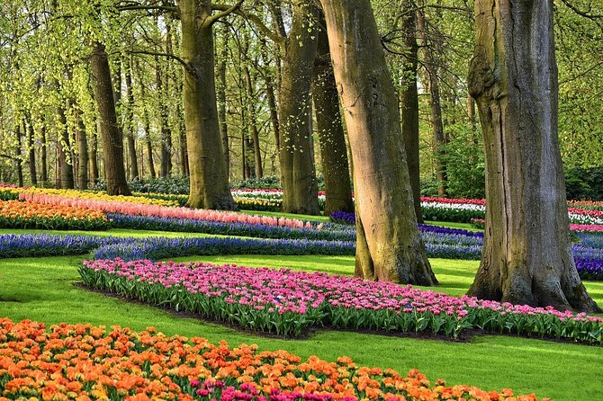 Private Tulip Fields, Windmills and Cheese Tour from Amsterdam - The clog demonstration keeps the visit practical