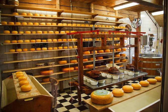 Private Tulip Fields, Windmills and Cheese Tour from Amsterdam - The schedule is full but logically arranged