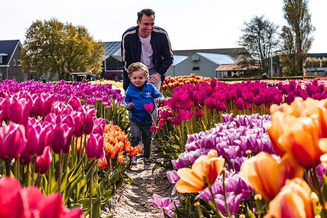 Private Tulip Fields, Windmills and Cheese Tour from Amsterdam - Private transport is the main value