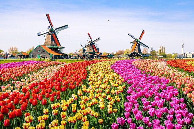 Private Zaanse Schans & Volendam Tour: Windmills, Cheese & Clogs - Your driver-guide can shape the whole day