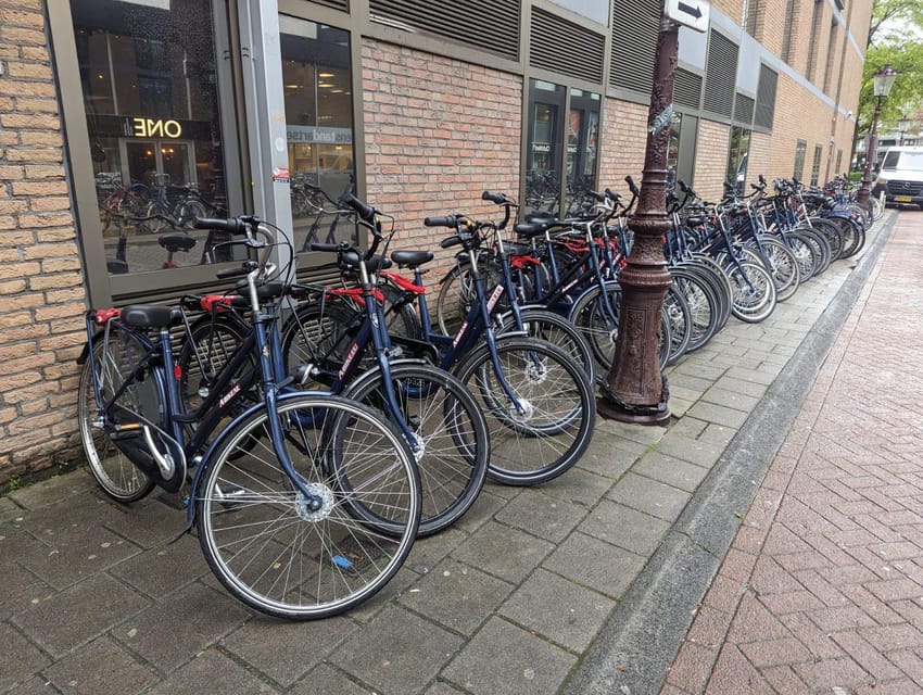 Rent a bike in Amsterdam | 1, 2, 3+ hours - Who will enjoy this rental most