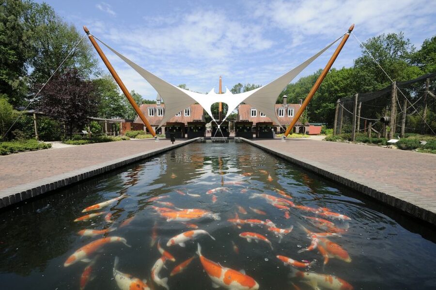 Rhenen: Ouwehands Zoo Entry Ticket - Polar bears and big cats bring a change of pace