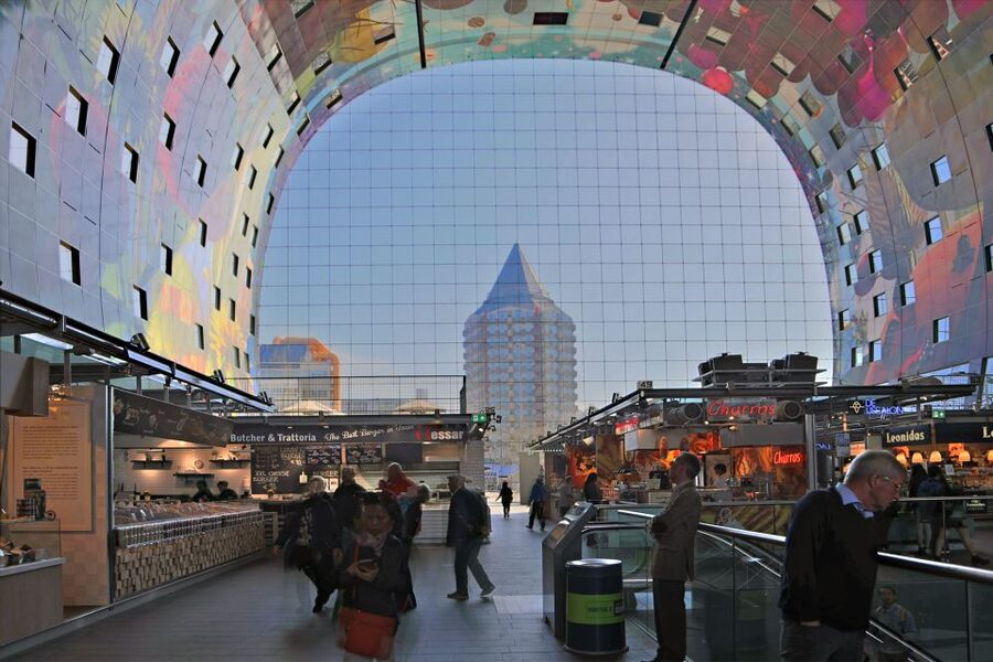 Rotterdam: 2-Hour Guided Walking Tour - Erasmus Bridge and the Bigger Port City