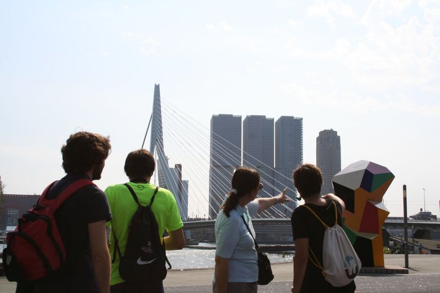 Rotterdam: Architectural Highlights Guided Walking Tour - The waterfront, South Bank, and Erasmus Bridge