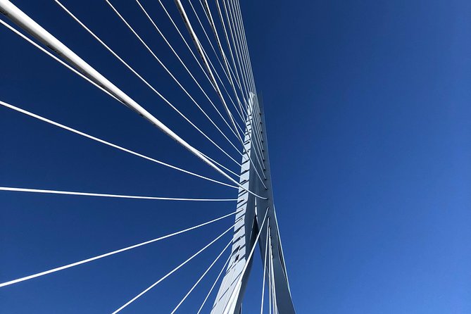 Rotterdam Architecture Highlights Walking Tour - Boompjeskade and the Maas finale