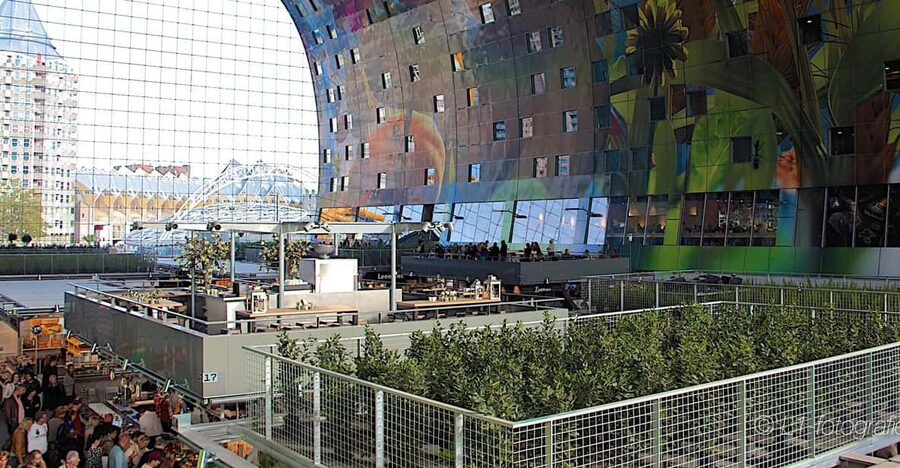 Rotterdam: City Center Walking Tour - Key points at a glance